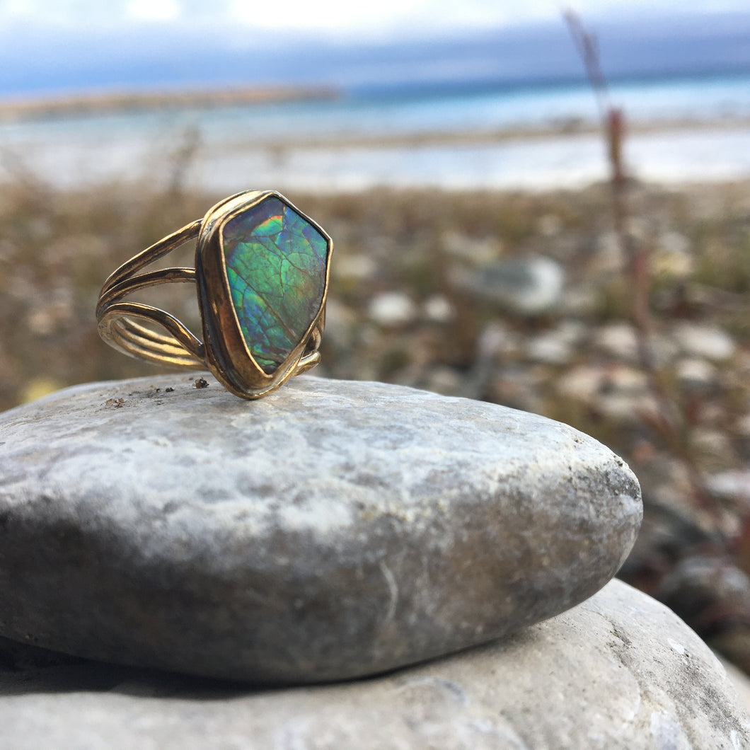 AMMOLITE RING