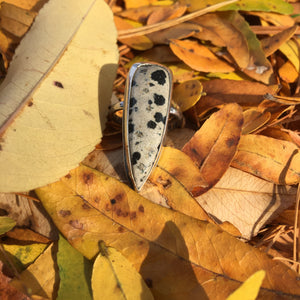 DALMATIAN JASPER RING