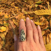 Load image into Gallery viewer, DALMATIAN JASPER RING