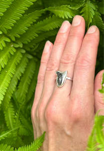 SHARK TOOTH RING