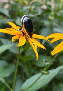 BLACK ONYX RING