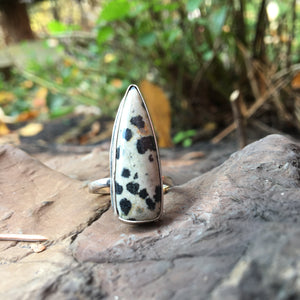 DALMATIAN JASPER RING