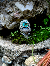 Load image into Gallery viewer, TURQUOISE SHARK RING