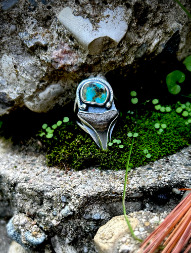 TURQUOISE SHARK RING