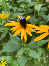 Load image into Gallery viewer, BLACK ONYX RING