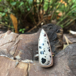 DALMATIAN JASPER RING