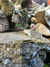 Load image into Gallery viewer, OPAL RING