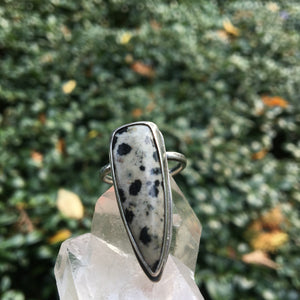 DALMATIAN JASPER